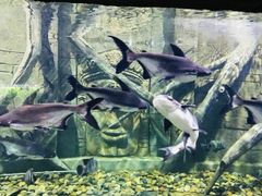 -梦幻海洋王国(吾悦广场张家港店)