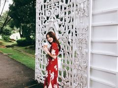 -新加坡总统府