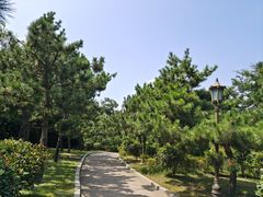 -燕儿岛山公园