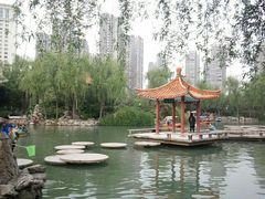 湖心岛-西苑公园