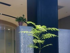 -青岛海尔洲际酒店