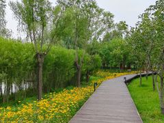 -东郊湿地公园