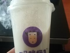 -一只酸奶牛(八一路店)
