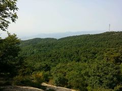 -鲁山国家森林公园