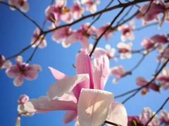 -徐家汇源景区-衡山公园