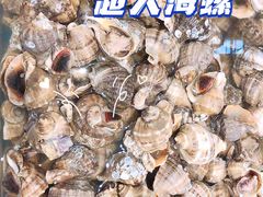 -半岛听涛蒸汽海鲜自助(K11店)