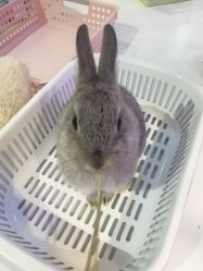 -Moni星球萌宠·小马宝莉·灵蛇·高端高阶全萌宠互动体验俱乐部(红豆国际广场店)