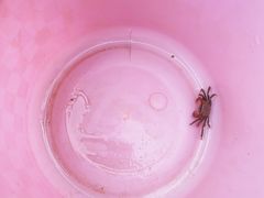 -上海吴淞炮台湾国家湿地公园