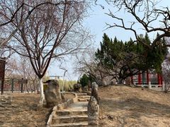 -桃花堤公园