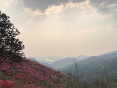 -木兰云雾山