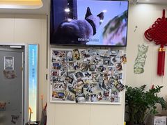 -芭比堂动物医院·24小时·眼科中心(深圳中心)