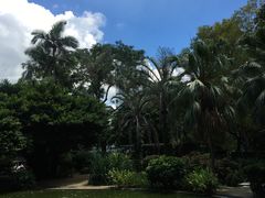 -九龙公园