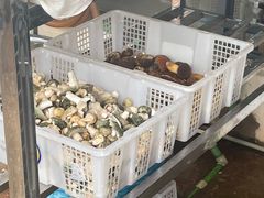 -双喜农庄·菌香园(安居家园店)