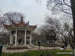 -睦南公园