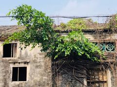 -崖口云吞(中堡店)