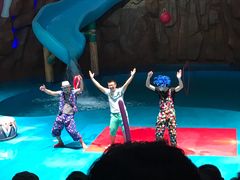 -烟台海昌鲸鲨海洋公园