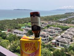 -三亚海棠湾仁恒皇冠假日酒店·大堂吧