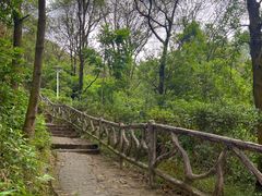 -大雁山风景区