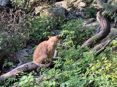 -萍乡武功山风景名胜区