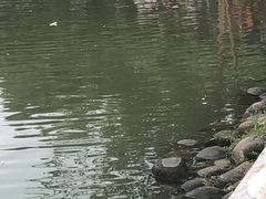 -田园东方蜜桃村的田野营地