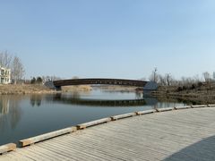 -马家湾湿地公园
