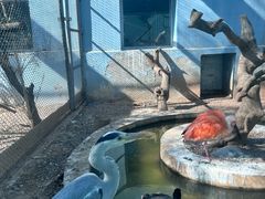 -青藏高原野生动物园