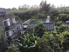-开平碉楼文化旅游区马降龙景区