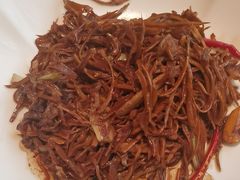 -秀儿四九城·新京菜(亚运村鸟巢店)