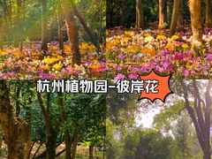 -杭州植物园