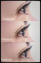 -1T·1M 日式美甲美睫