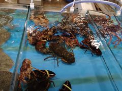 -渔公码头·九龙湾国际饭店