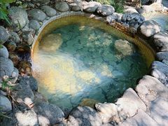 -三江森林温泉度假区