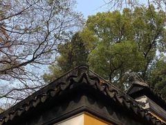 -秋霞圃