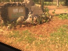 -海南热带野生动植物园