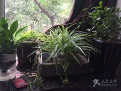 -孙三拨按摩(大纺店)