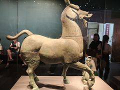 -广西壮族自治区博物馆