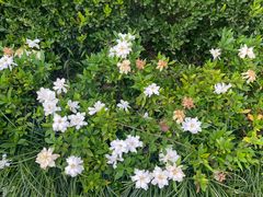 -春暖花开(西溪店)