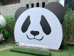 -都江堰中华大熊猫苑