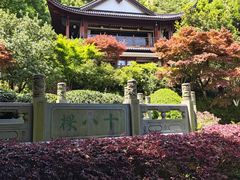 -十八棵（老龙井）御茶园(老龙井店)