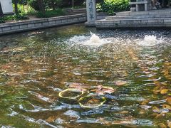 -沈阳植物园