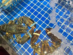 -雲野铁板烧·海鲜·日料·自助餐(金街店)
