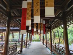 -三垟湿地