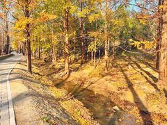 -白水寺森林公园