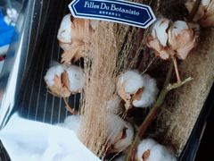 -植物学家的女儿(北马道巷店)