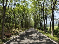 -宜兴龙背山森林公园