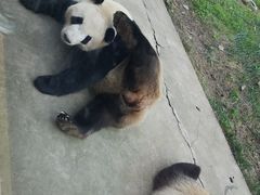 -西安秦岭野生动物园