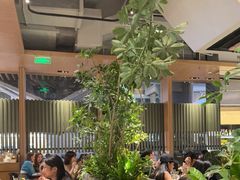 -gaga(深圳福田星河COCO Park店)