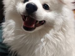 -海底捞火锅(太原南站店)