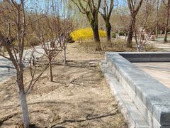 -元大都城垣遗址公园