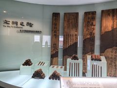 -长沙简牍博物馆